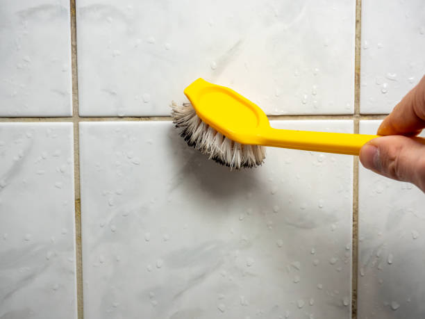 Best Mold Remediation for Specific Building Types in Garland, TX
