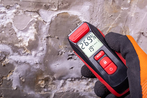 Best Crawl Space Mold Remediation in Garland, TX