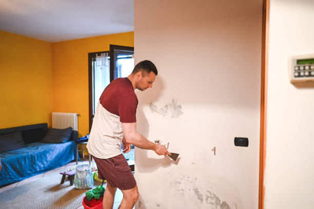 Best DIY Mold Remediation Support Services in Garland, TX