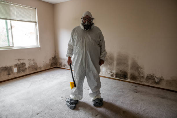 Reliable Garland, TX Mold Remediation Solutions